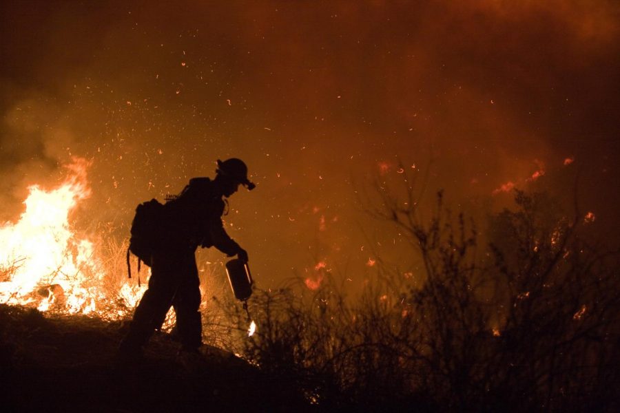 Wildfires devastate northern California
