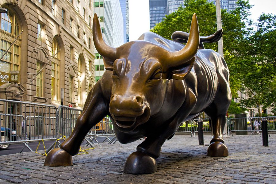 The stock market’s raging bull