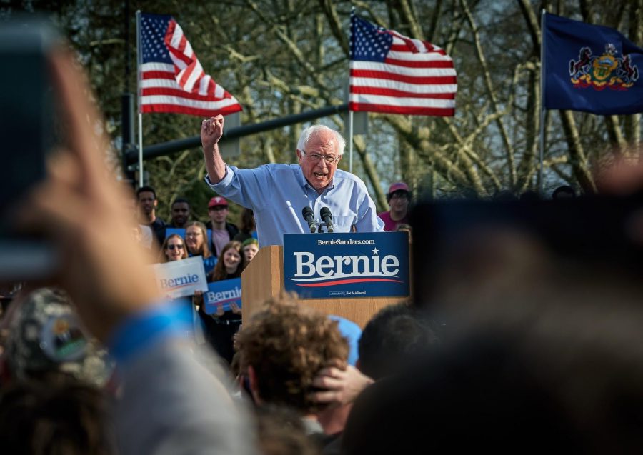 New York Cancels Democratic Presidential Primary