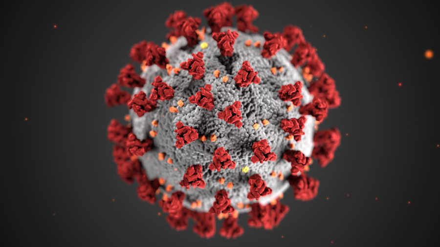 Coronavirus Updates: The Latest News