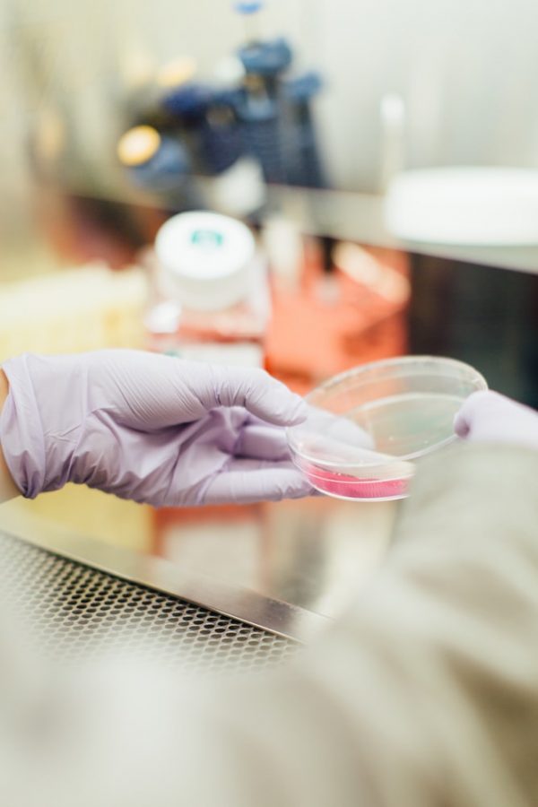 Trump To Increase Swab Production Amid Shortage Of Coronavirus Tests