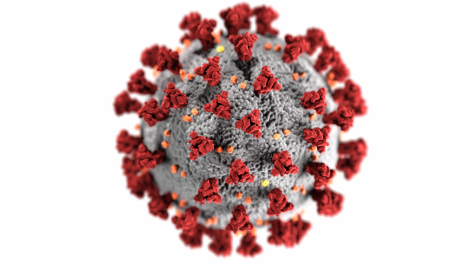 This illustration by the CDC shows the structure of a coronavirus.