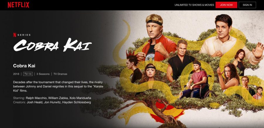 Netflix released and produced the hit new season of, “Cobra Kai,” on January 1st, 2021. The show has a total of three seasons. 