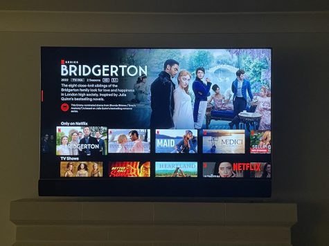 The second season of the hit Netflix series Bridgerton was released on March 25. Season 2 garnered praise from critics and audiences alike.