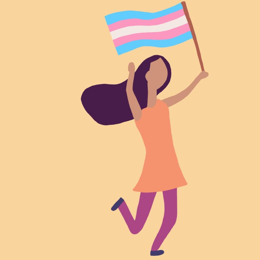 With a flag representing the transgender community in hand, a girl runs playfully. The actions taken by the Texas government will have disastrous effects on the quality of life of transgender minors.