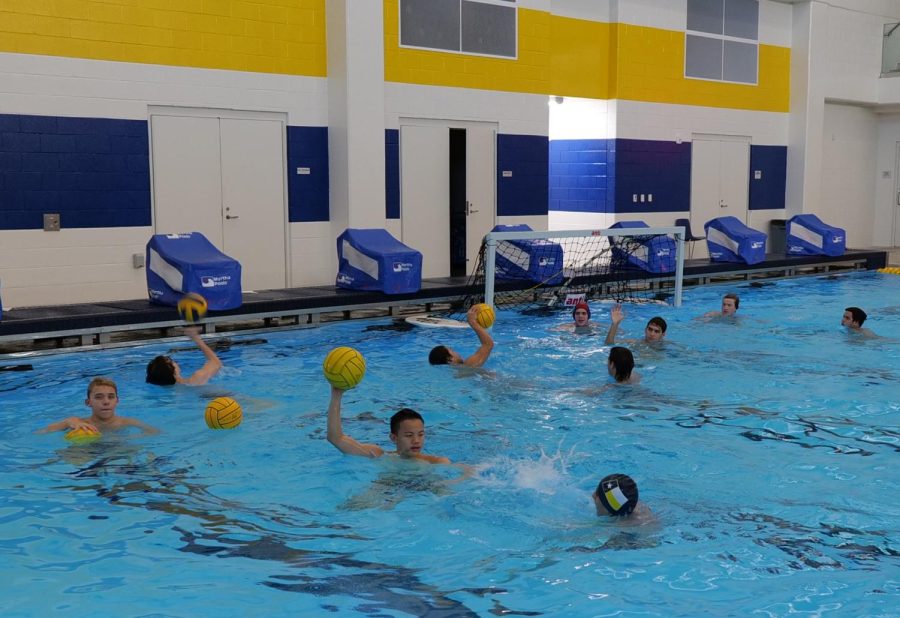 During water polo practice freshman Slova Walker, freshman Cainan Cohen, junior Max Nguyen, freshman Suleman Aziz, freshman Jacob Duong, freshman Zach Slaughter, junior GB Stalnaker, senior Luka  Zivaljevic, sophomore Jake Melley and senior Roman Duong scrimage. Stalmaker only started playing water polo two months ago, but has been competitively swimming since he was seven-years-old. I love the team - the guys are always helpful, motivated and very dedicated, Stalnaker said. I know the second I get in the water for the game those guys have my back.