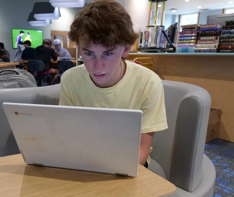 In the library sophomore Rhodes Dunston works on his computer. He took the Youth Check Survey last school year as a freshman. The school is doing enough for the mental health of students because we have good counselors, he said. 